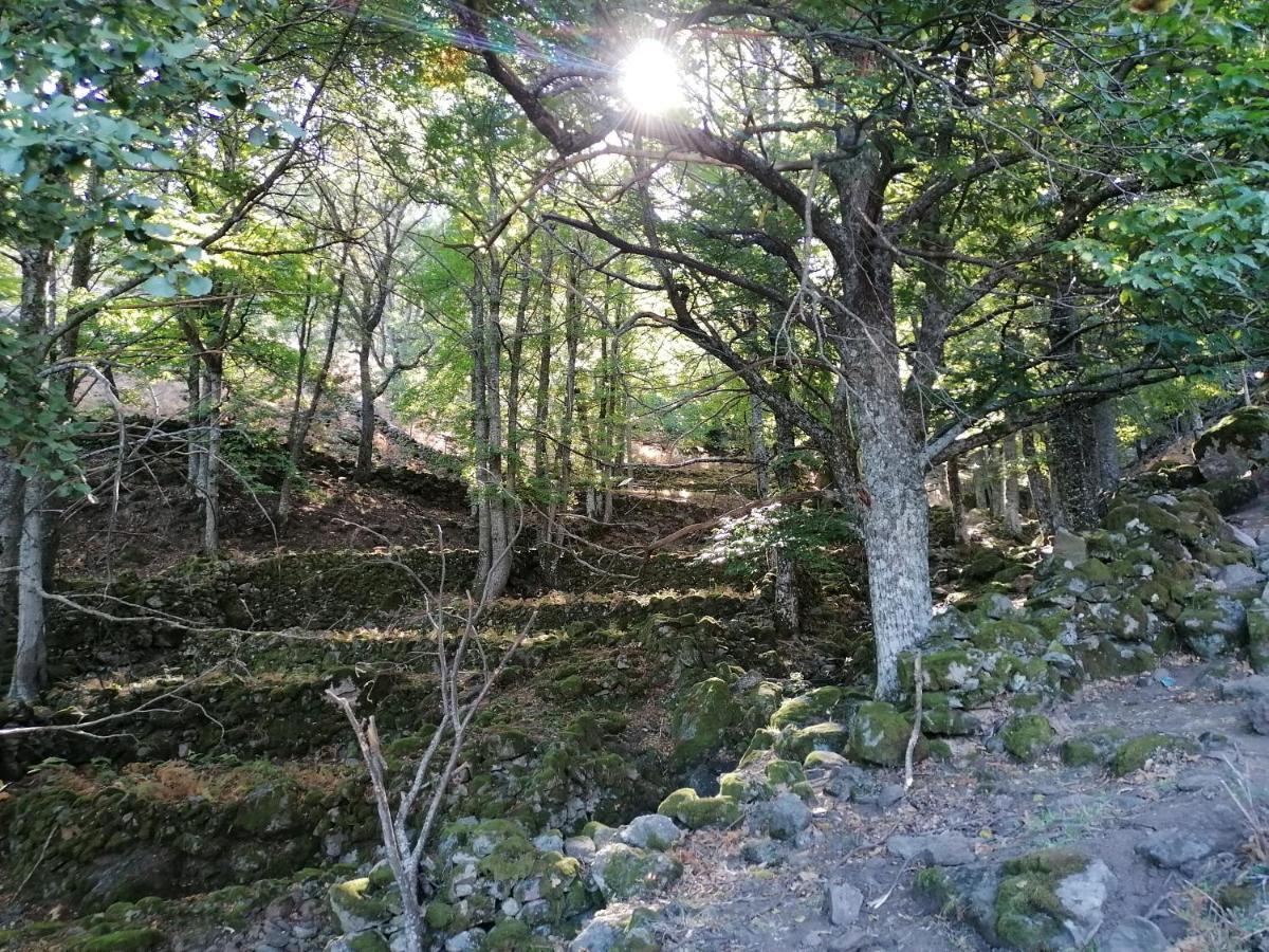 Ambroz Y Plata Villa Aldeanueva del Camino Luaran gambar